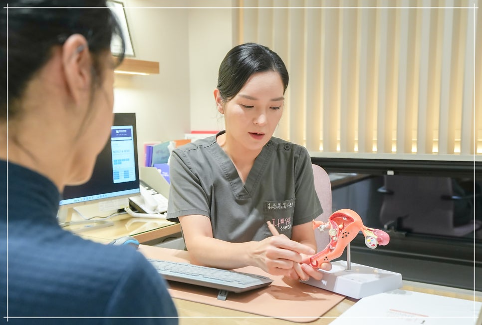 의료진이 자궁 모형으로 환자(뒷모습)에게 설명