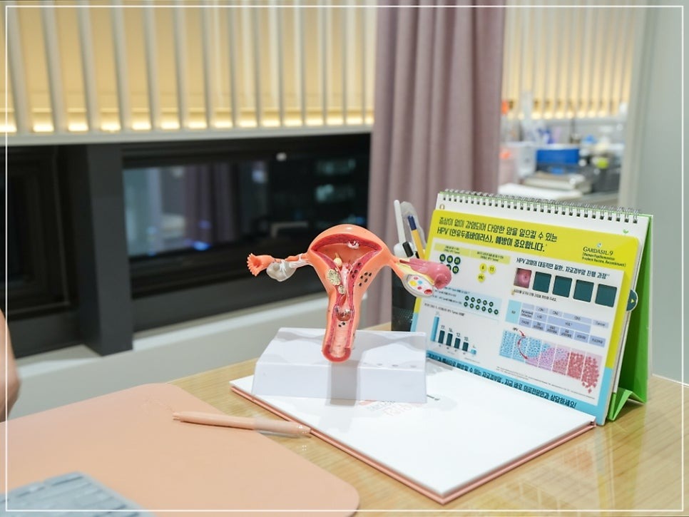 소음순수술4