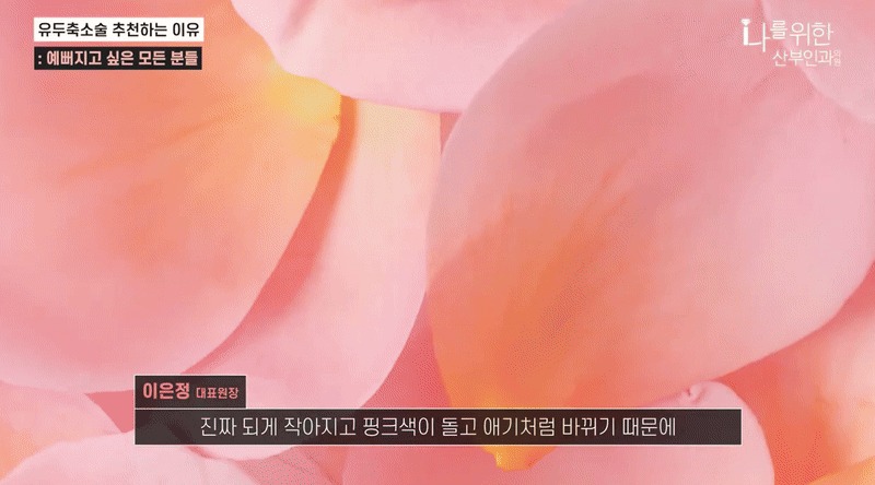 유두미백10