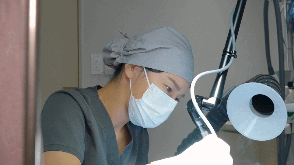 유두미백5