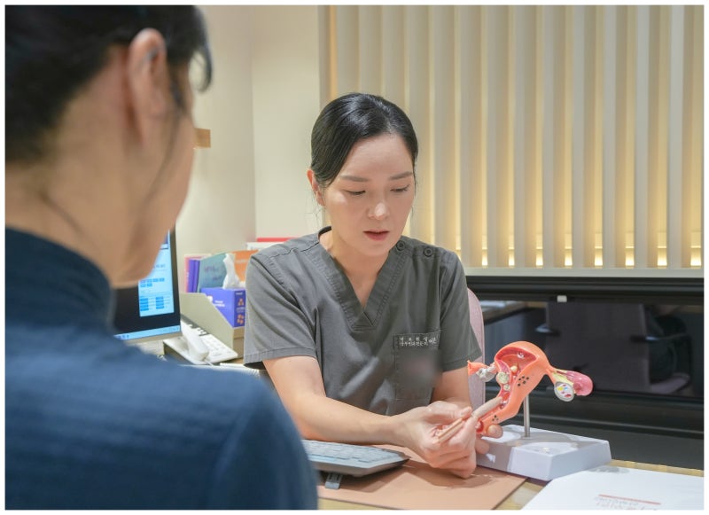 소음순성형이라는 말, 소음순수술과 어디까지 같은 뜻일까 — 나를위한산부인과