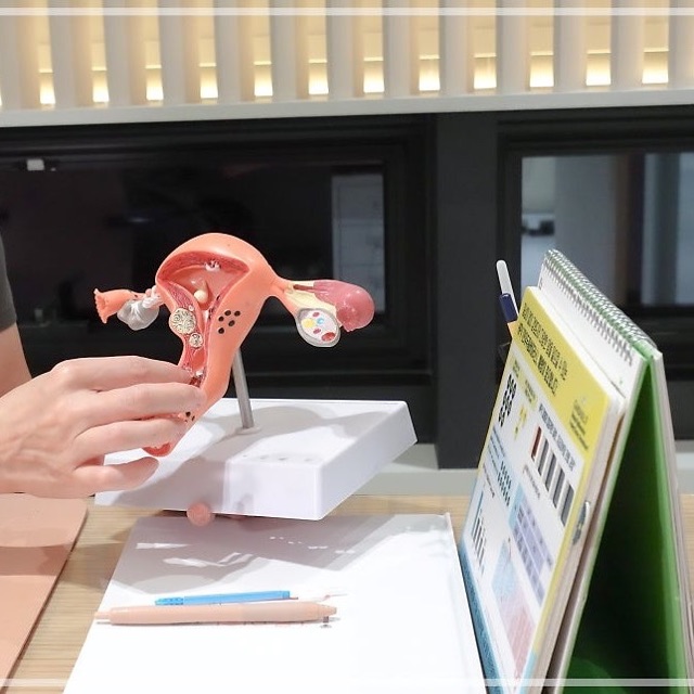 소음순수술 절차와 마취 방식, 회복까지 순서로 정리